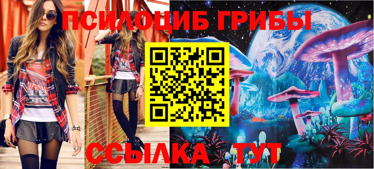 Черногорск  Галлюциногенные грибы Psilocybe  Вход с VPN 